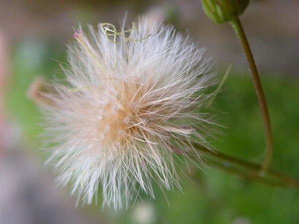 Culto de adoración 11 de octubre de&nbsp;2020